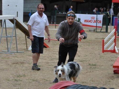 Concours d'agility, Nuits Saint Georges, 26 juillet 2015