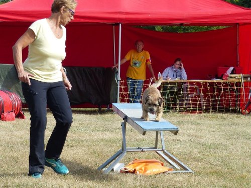 Concours d'agility de Fontaines, le 16 septembre 2018