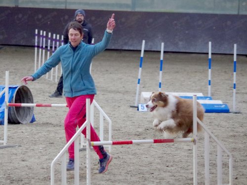 Concours d'agility, Dijon 8 décembre 2024