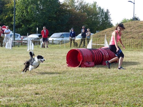 Concours d'agility de Fontaines, le 16 septembre 2018