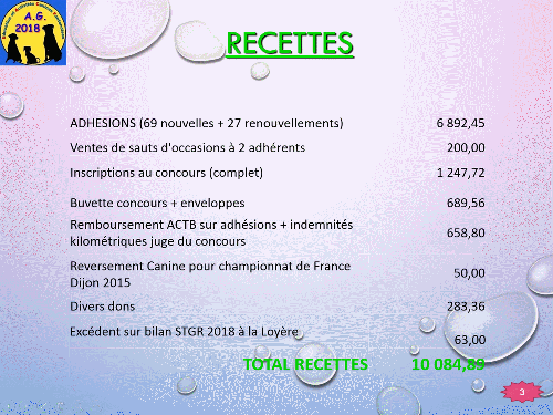 Bilan 2018 présenté lors de l'assemblée générale 2019