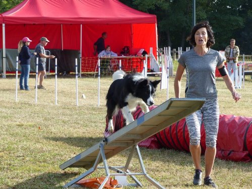 Concours d'agility de Fontaines, le 16 septembre 2018