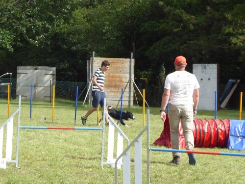 Concours d'agility, Daix, 17 juin 2018