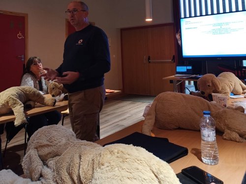 Formation secours canin 1er trimestre 2025