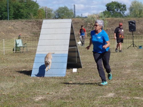 Concours d'agility, Fontaines 11 septembre 2022