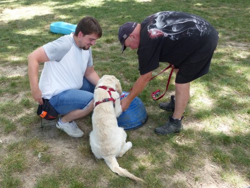 Fitness canin, 18 juin 2022