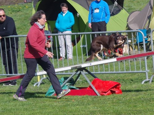 Concours d'agility, Le Creusot, 24 mars 2019