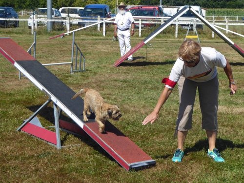 Concours d'agility, Montret, 29 juillet 2018