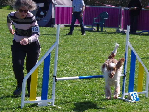 Concours d'agility, Barges, 9 avril 2023