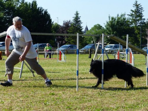 Concours d'agility de Fontaines, le 28 mai 2017