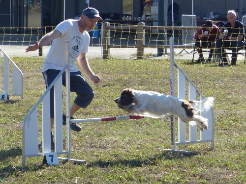 Concours d'agility, Fontaines 11 septembre 2022