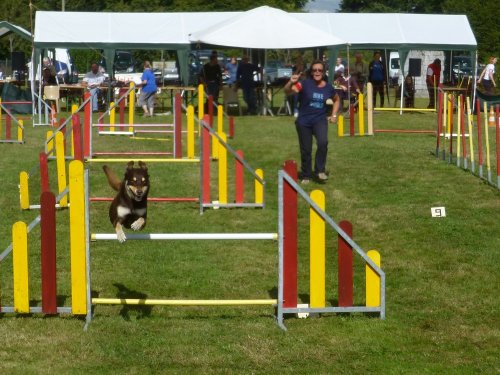 Concours d'agility, Autun, 10 septembre 2017