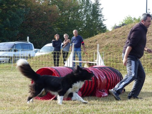 Concours d'agility de Fontaines, le 16 septembre 2018