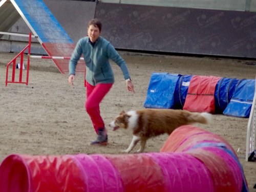 Concours d'agility, Dijon 8 décembre 2024