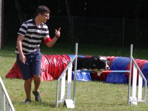 Concours d'agility, Daix, 17 juin 2018