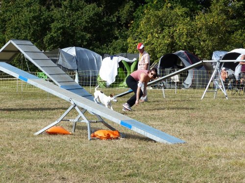 Concours d'agility de Fontaines, le 16 septembre 2018