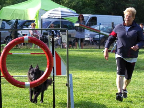 Concours d'agility, Sanvignes les Mines, 6 août 2016