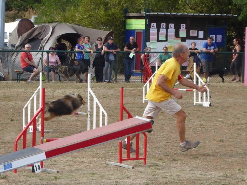 Concours d'agility, Dijon, 22 septembre 2019