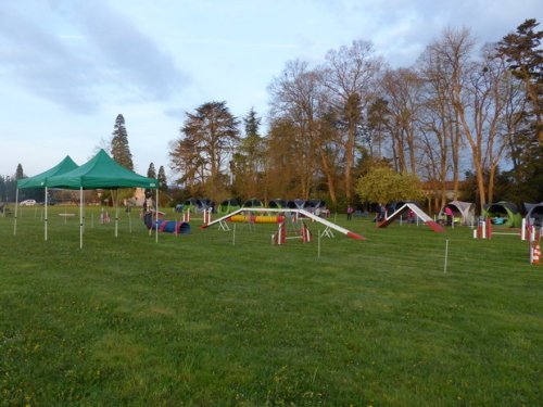 Premier concours d'agility de Fontaines, le 12 avril 2015