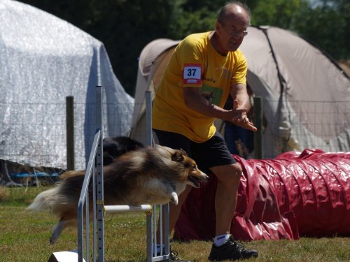 Concours d'agility, Montret, 29 juillet 2018