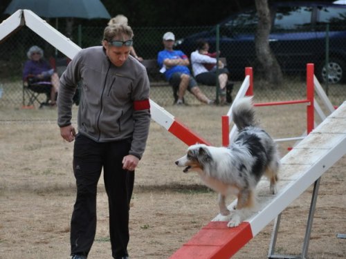 Concours d'agility, Nuits Saint Georges, 26 juillet 2015