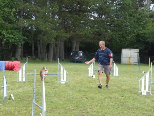 Concours d'agility, Daix, 17 juin 2018