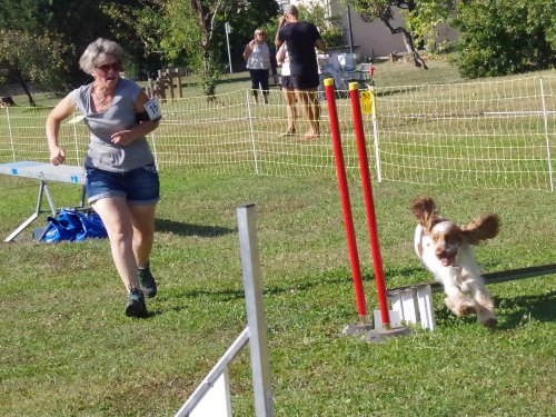 Concours d'agility, Fontaines, 9 et 10 septembre 2023