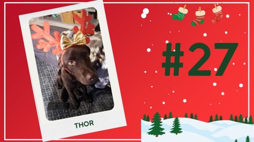 Concours photos 2024 : sur le thème de Noël