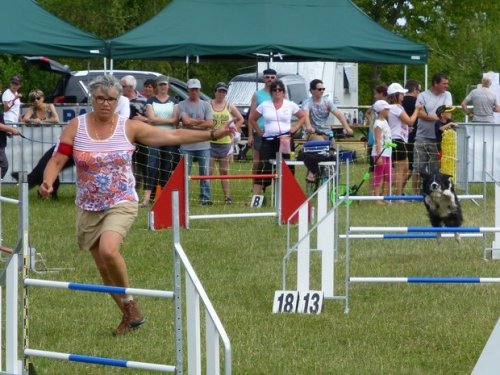 Concours d'agility, Magny sur Tille, 12 juillet 2015