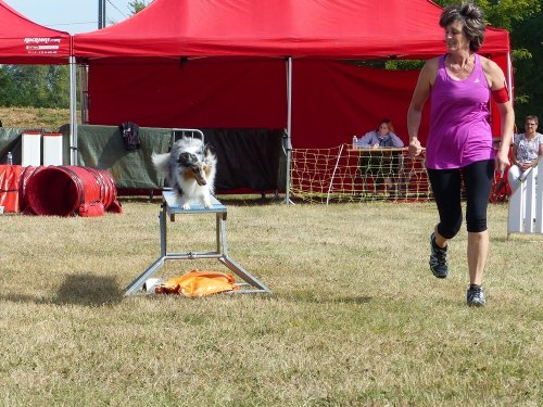 Concours d'agility de Fontaines, le 16 septembre 2018