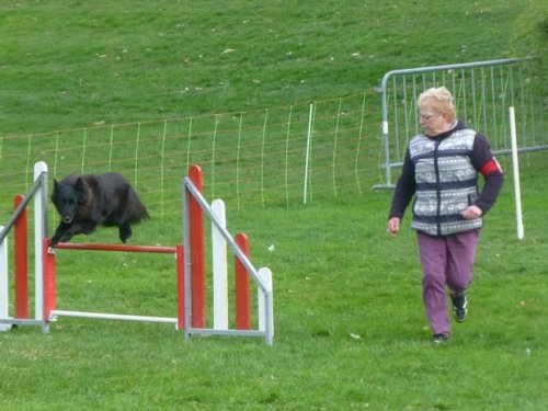 Concours d'agility, Le Creusot, 19 mars 2017