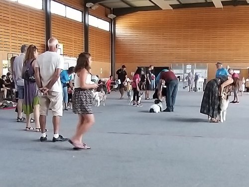 Forum des associations, 31 août 2019