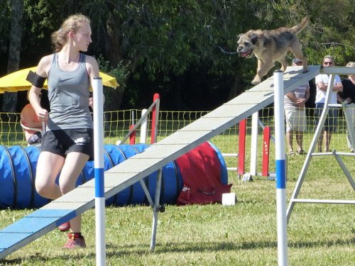 Concours d'agility de Fontaines, le 28 mai 2017