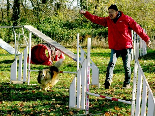 Stage d'agility, 26 novembre 2023