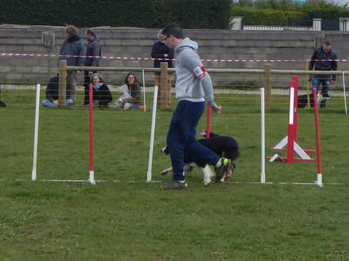 Concours d'agility, Barges, 1 avril 2018