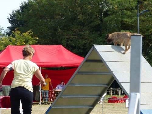 Concours d'agility de Fontaines, le 16 septembre 2018