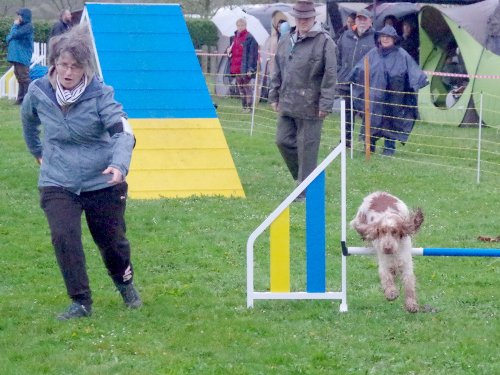 Concours d'agility, Barges, 31 mars 2024