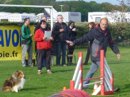 Concours d'agility, Barges, 16 avril 2017