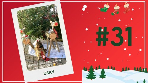 Concours photos 2024 : sur le thème de Noël