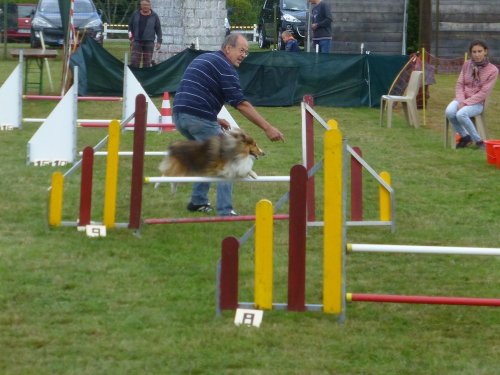 Concours d'agility, Autun, 10 septembre 2017