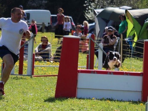 Premier concours d'agility de Fontaines, le 12 avril 2015