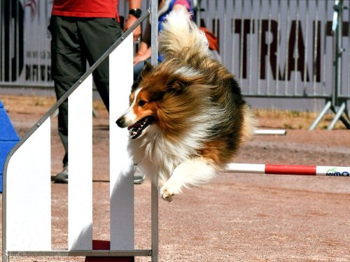 Loustic au championnat de France 2018