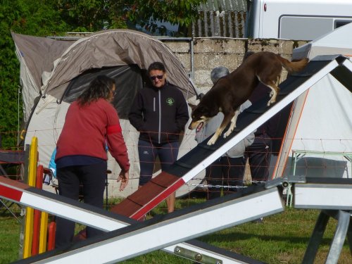 Concours d'agility, Autun, 10 septembre 2017