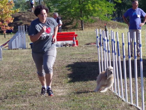 Concours d'agility, Fontaines 11 septembre 2022