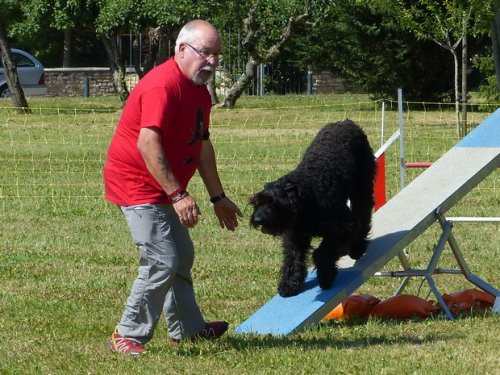 Concours d'agility de Fontaines, le 28 mai 2017