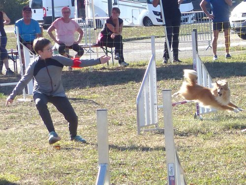 Concours d'agility, Fontaines 11 septembre 2022