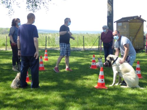 Cours d'éducation du mois de juin 2021