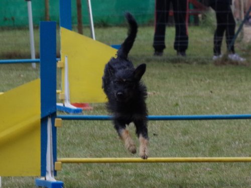 CAESC et Pass-agility Fontaines 17 septembre 2016