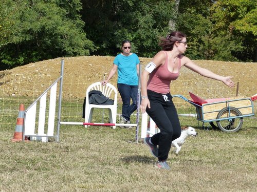 Concours d'agility de Fontaines, le 16 septembre 2018