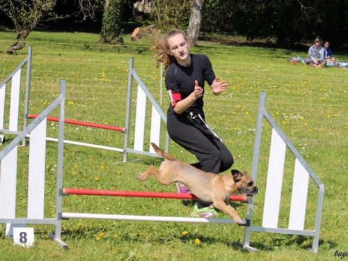 Premier concours d'agility de Fontaines, le 12 avril 2015